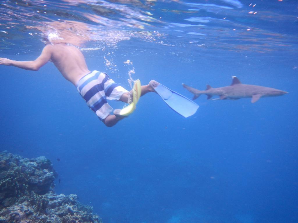 Naqalia Lodge Wayasewa Island Экстерьер фото