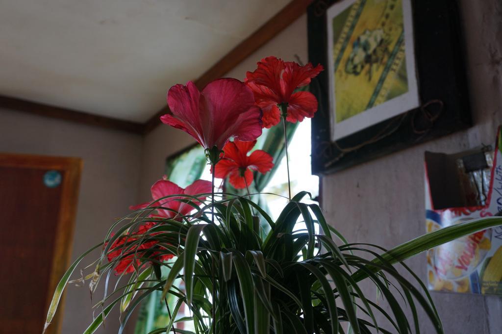 Naqalia Lodge Wayasewa Island Экстерьер фото